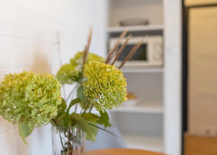 리조트 Acapulco Nad Morzem