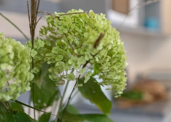 Acapulco Nad Morzem 리조트 *